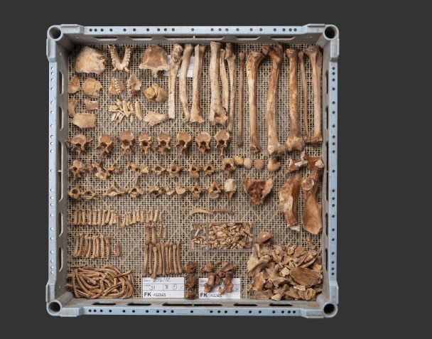 Фото: Archäologische Bodenforschung