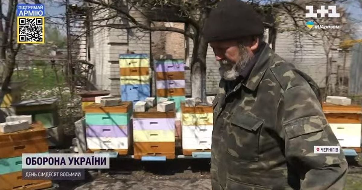 Добро добром повертається: небайдужому пасічнику із Чернігова волонтери взялися відновити зруйновану пасіку