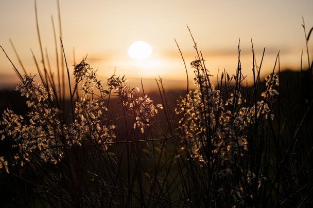 Народні прикмети 20 серпня / © pexels.com