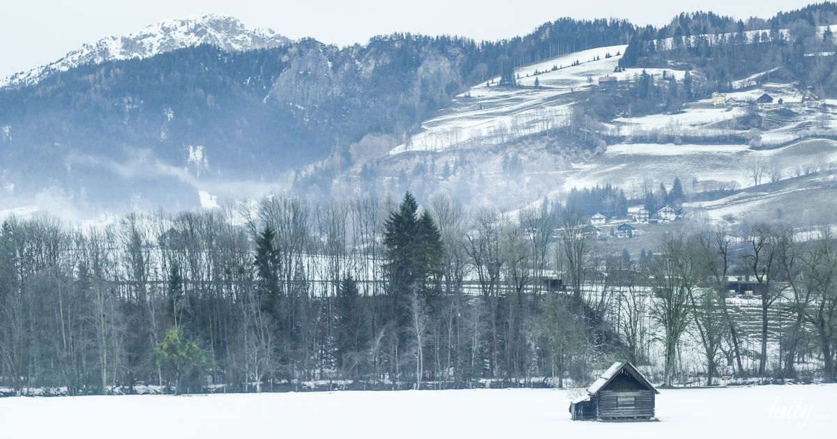 Гороскоп на 13 грудня