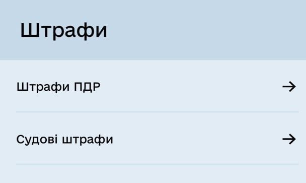 Оплата штрафу за порушення ПДР у Діхї / Фото: скришот / © 