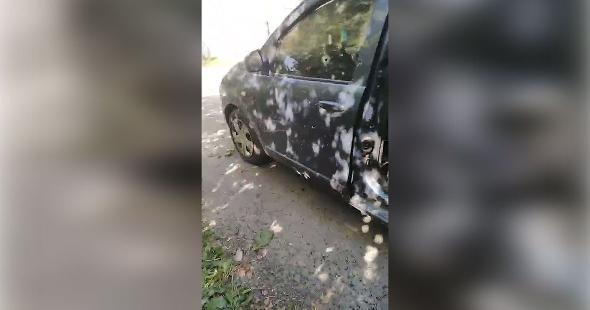 Под Днепром на ходу взорвалась легковушка: на заднем сиденье сдетонировала ручная граната