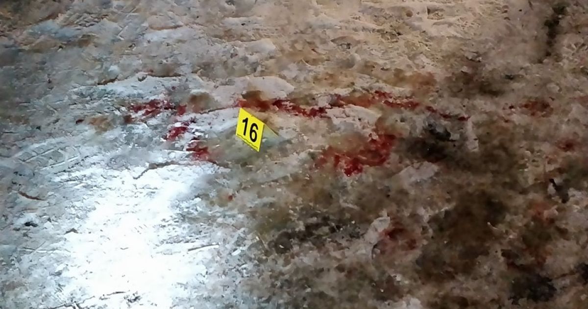 стрілянина київщина_4 / © ГУ Национальной полиции в Киевской области