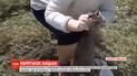 Із занедбаного колодязя витягли кицьку, яка дві доби трималася за гілку, щоб не втонути