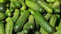 Огірки почали дорожчати на українських ринках