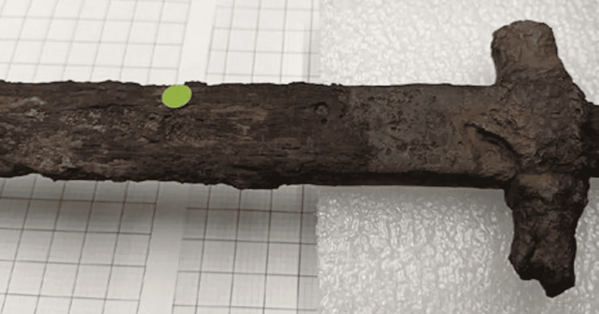 Ймовірно, спис був символом влади або ритуальним об'єктом