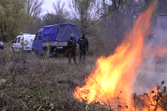 На Полтавщині спалили гору наркотиків на два мільйони гривень