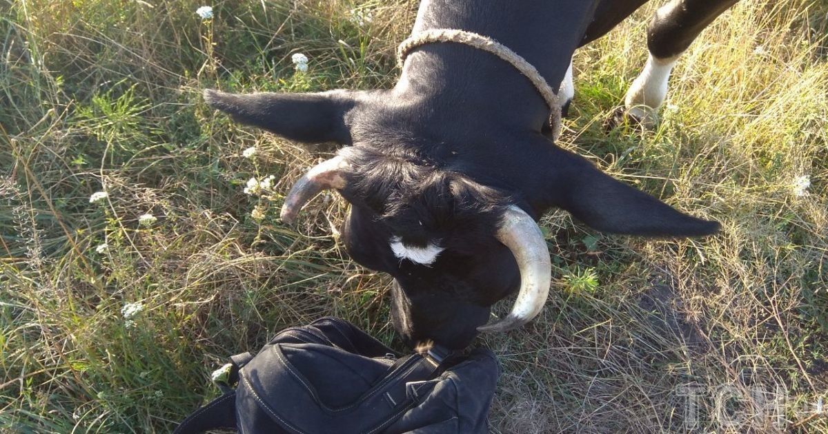 Фото иллюстративное