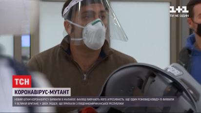 Специалисты обнаружили новый штамм COVID-19 в Малайзии