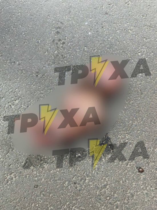 У Харкові поблизу фонтана знайшли викинутий людський ембріон