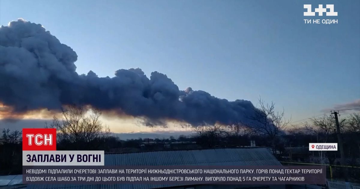 Столбы дыма протяженностью в километр: в Одесской области горел национальный парк