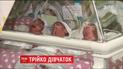 У столиці вперше від початку року у пологовому будинку народилася трійня