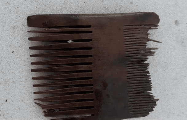 Дайвери навіть виявили розписний дерев'яний посуд, взуття, гребінці та намистини для чоток, що дозволяє зазирнути в життя екіпажу на борту. Фото viking ship museum