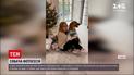 В Одессе волонтеры устроили фотопроект с участием четырехлапых бездомных