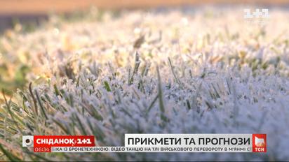 Прогноз синоптиків та народні прикмети: якою буде погода в 2021 році