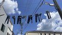 Як правильно сушити джинси