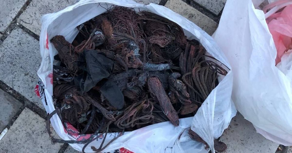 Фото: Патрульна поліція Києва
