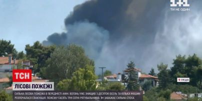 Новости мира: в пригороде Афин горят леса, огонь вплотную приблизился к людям