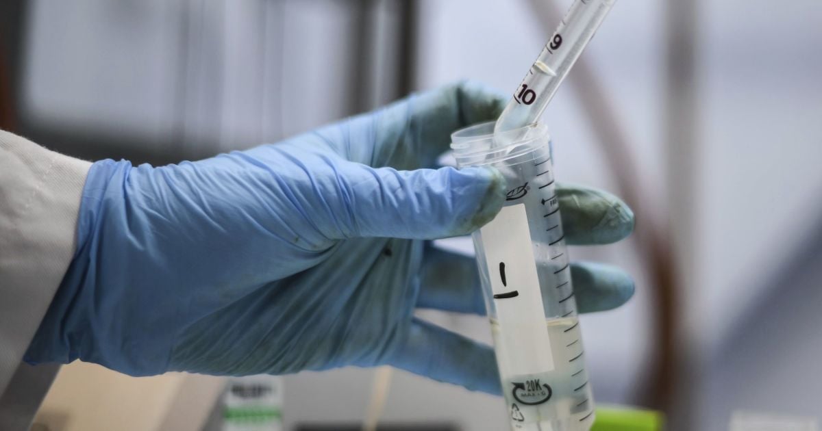 Исследователи смогли частично воспроизвести процесс репликации РНК