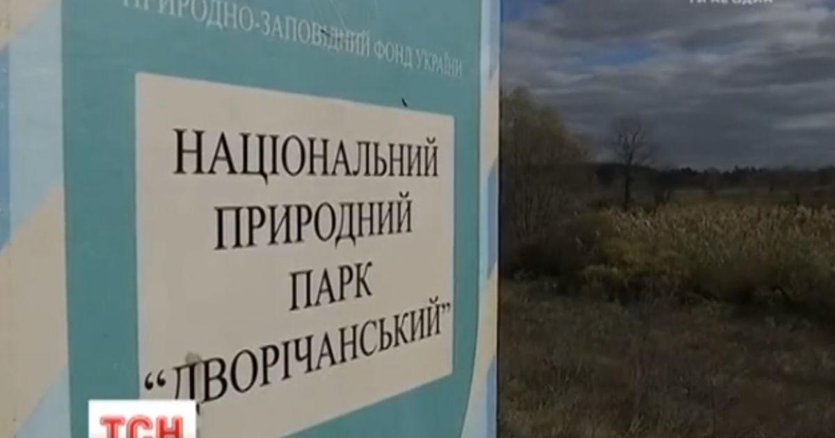 На Харківщині браконьєри влаштовують "сафарі" в національному парку