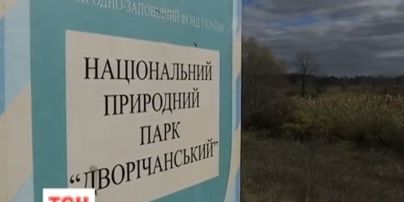 На Харьковщине браконьеры устраивают "сафари" в национальном парке