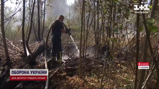 Лісові пожежі на Волині та Рівненщині / © 