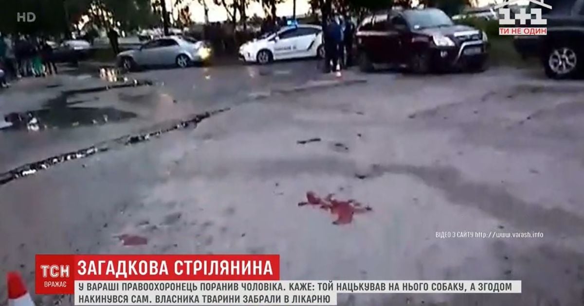 Не рикошет, а два постріли: з’явились подробиці стрільби по собаці на Рівненщині, яку скоїв коп