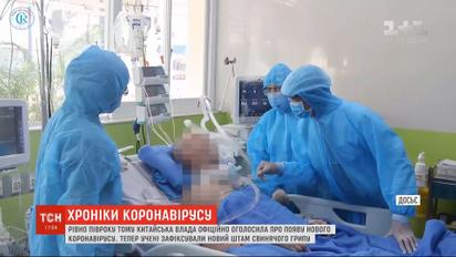 Коронавирусная пандемия: Европа открывает границы, а в Китае нашли новый штамм свиного гриппа