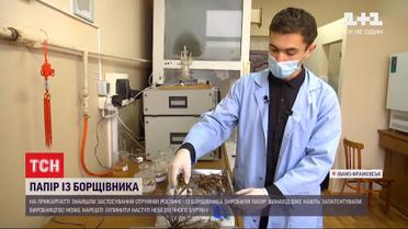 Бумага из яда: на Прикарпатье нашли полезное применение токсическому борщевику