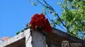 Подвійний удар РФ по Харкову: влада показала жахливі наслідки (фото, відео)