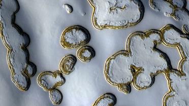 NASA опублікувала нові фото з Марсу_3 / © NASA