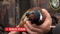 В Запоріжжі на волю випустили чотири сотні фазанів