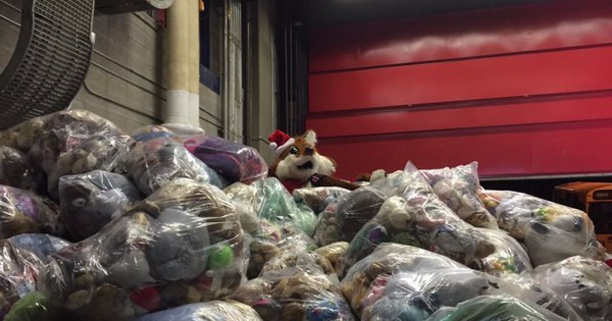 Teddy Bear Toss 2015 зібрав 28,815 тисяч плюшевих ведмедиків. / © twitter.com/WHLHitmen