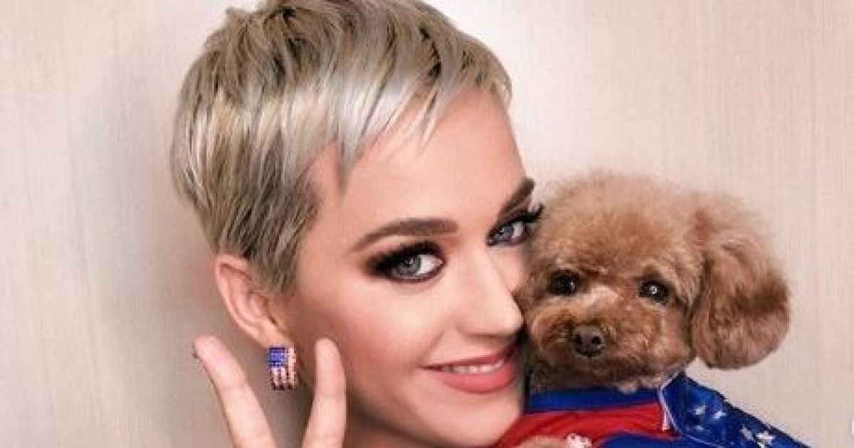 Известную американскую певицу признан самой богатой исполнительницей года