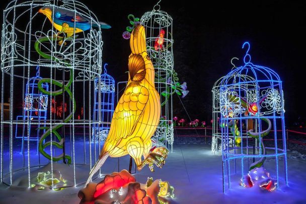  / © chinafest.kiev.ua