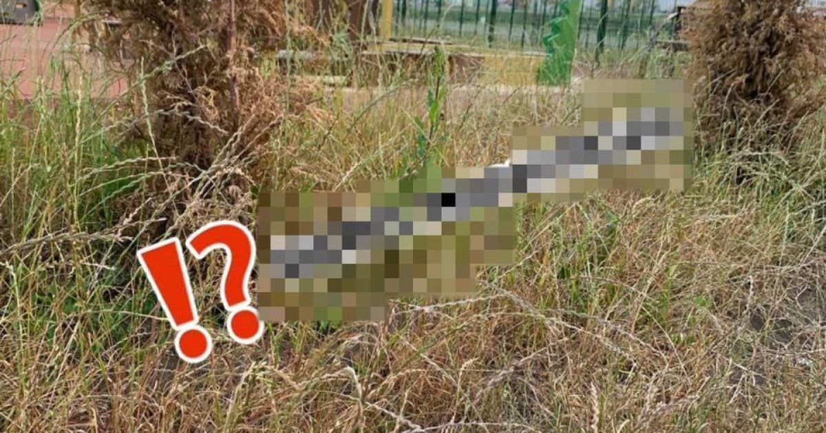 Новобудови у Маріуполі заростають травою