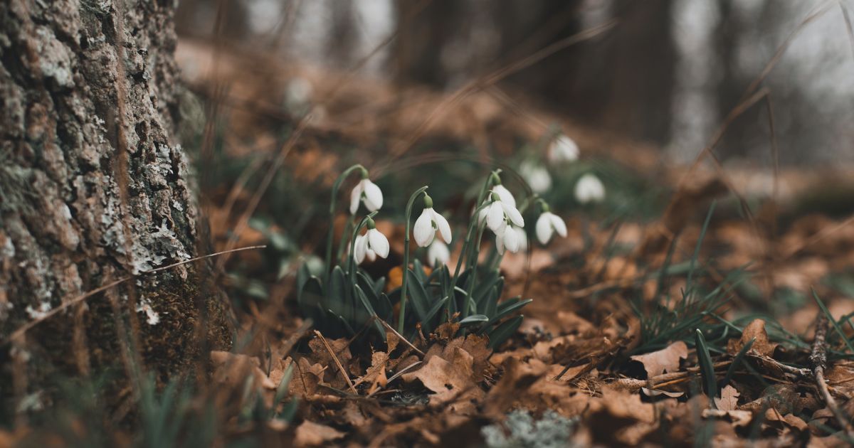 Happy first day of spring pictures in Ukrainian, greetings in prose