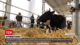 Новини України: фермери з`їхалися до Кропивницького на найбільшу аграрну виставку країни