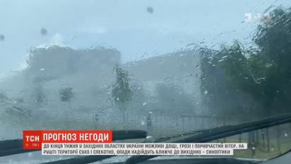 У західних областях України синоптики передбачають сильні зливи з поривчастим вітром