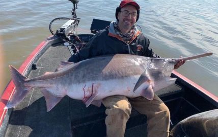 В США рыбак выловил рекордную гигантскую рыбу. Ее пришлось отпустить