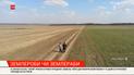 Землероби чи землераби: що чекає на Україну після старту земельної реформи