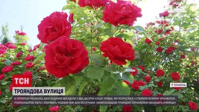 Новости Украины: жители двух 5-этажек Тернополя сделали из общего двора бесплатную фотолокацию
