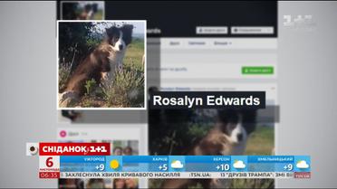 Щенок устроил сюрприз своим хозяевам