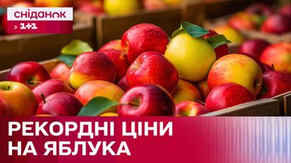 Ціни на яблука побили п'ятирічний рекорд! Чим зумовлене зростання цін в Україні? – Економічні новини