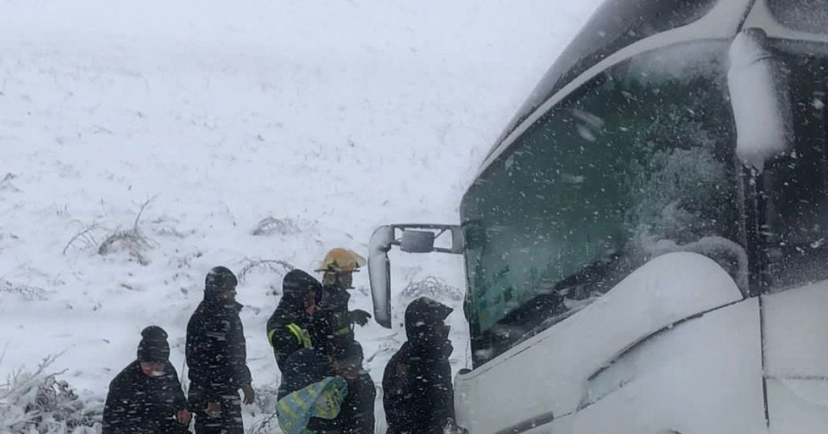 Наслідки снігопаду на Одещині