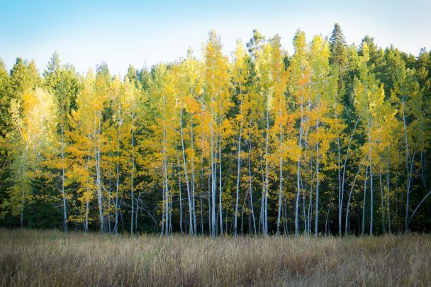 Народні прикмети 6 вересня / © Unsplash