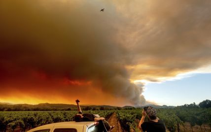 Лісові пожежі у Каліфорнії забрали життя п’ятьох осіб