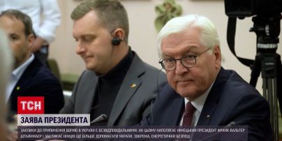 Штайнмаєр обурений закликами до перемир'я України з Росією
