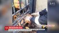 На Днепропетровщине собака пытался пролезть через дыру в заборе, но застрял