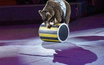 Без тварин: українським циркам дали рік на оновлення шоу-програм